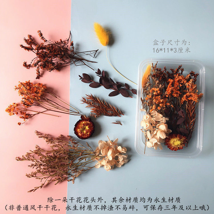 Wholesale Eternal Flower Baby's Breath Daisy Dried Flower Floating Flower Pressed Flower Kindergarten Handmade Flower Art Diy Filling Material